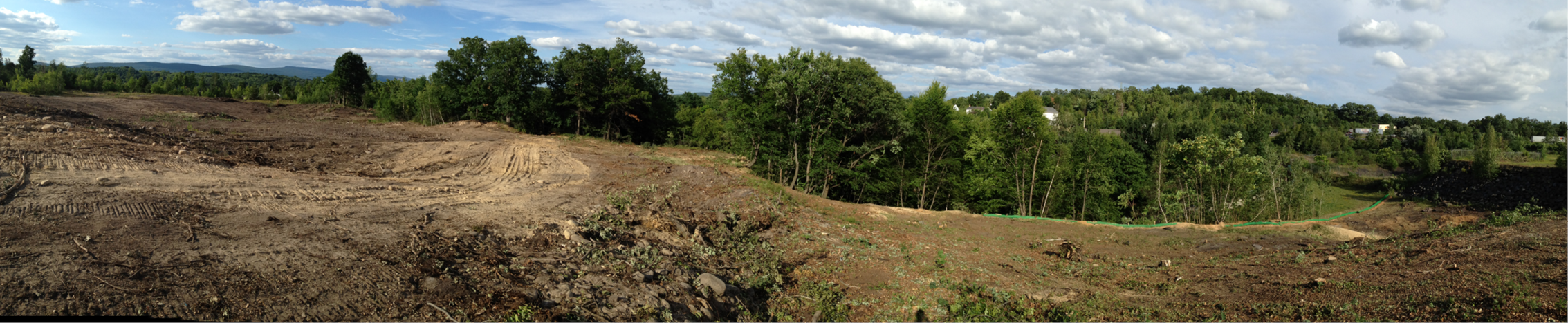 Early stage of land development