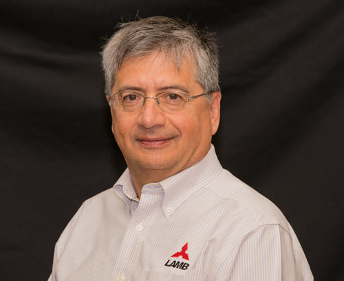 Joe Sterchak President CEO of Robert E. Lamb, Inc.